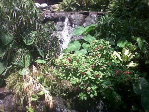 IMG-20120907-00028