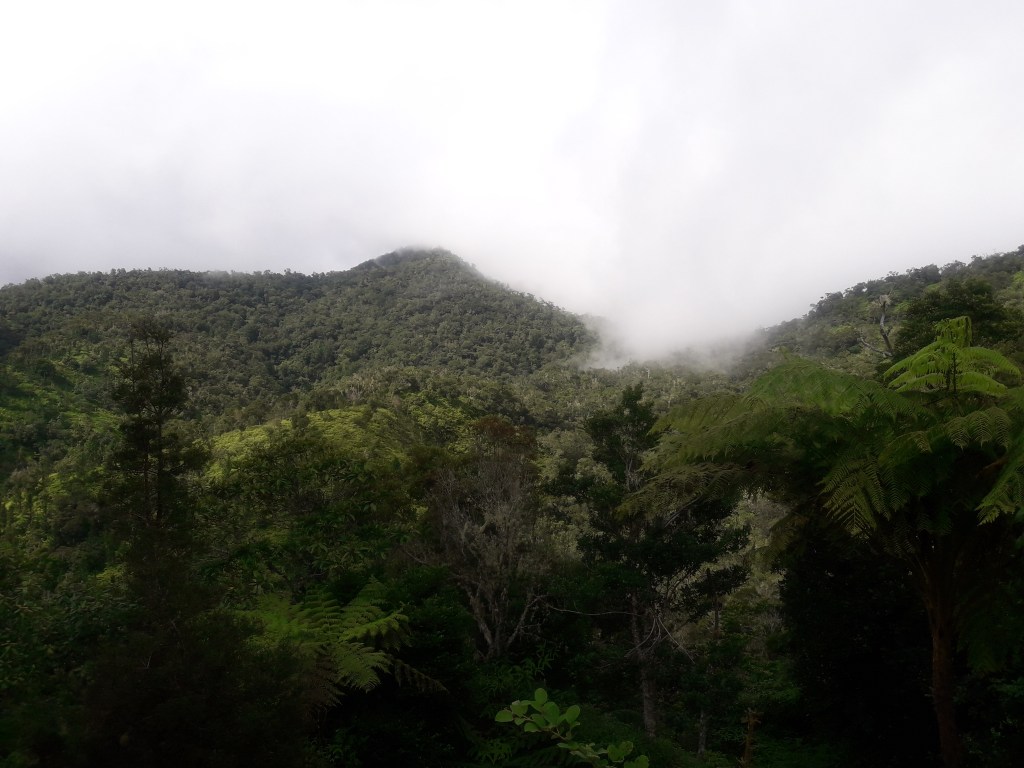 Stepping Away to My Hiding&nbsp;Place